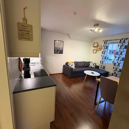 In Cozy Downtown Neighborhood Apartment *