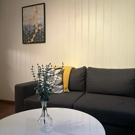 Apartment In Cozy Downtown Neighborhood *