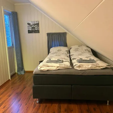 In Cozy Downtown Neighborhood Apartment *