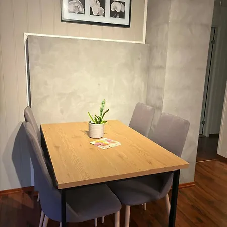 In Cozy Downtown Neighborhood Apartment